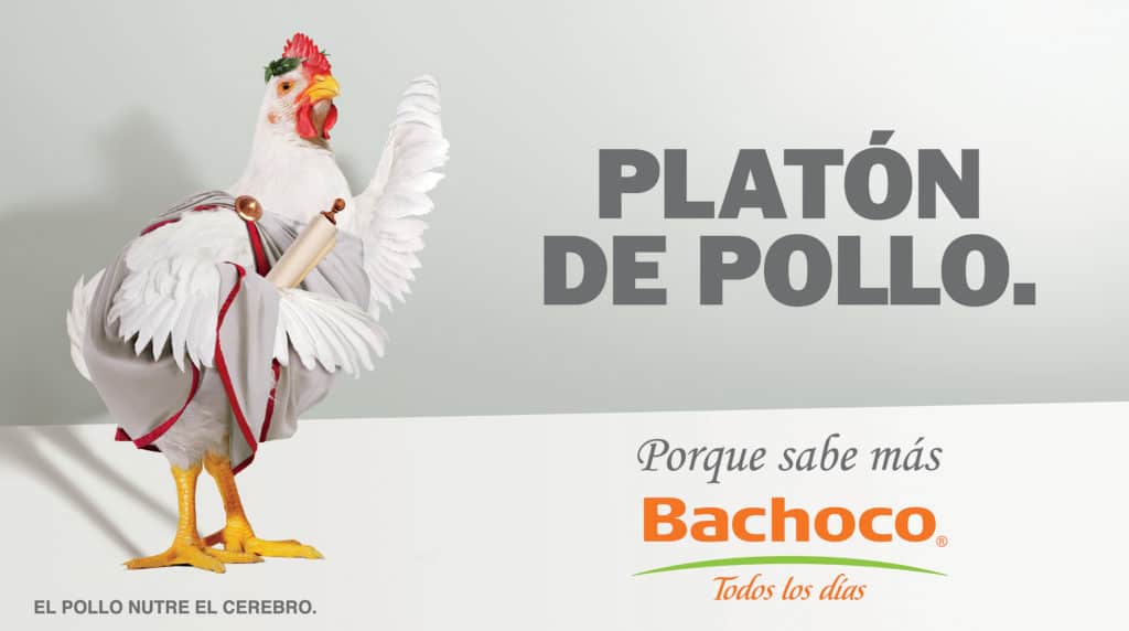 Platón de pollo