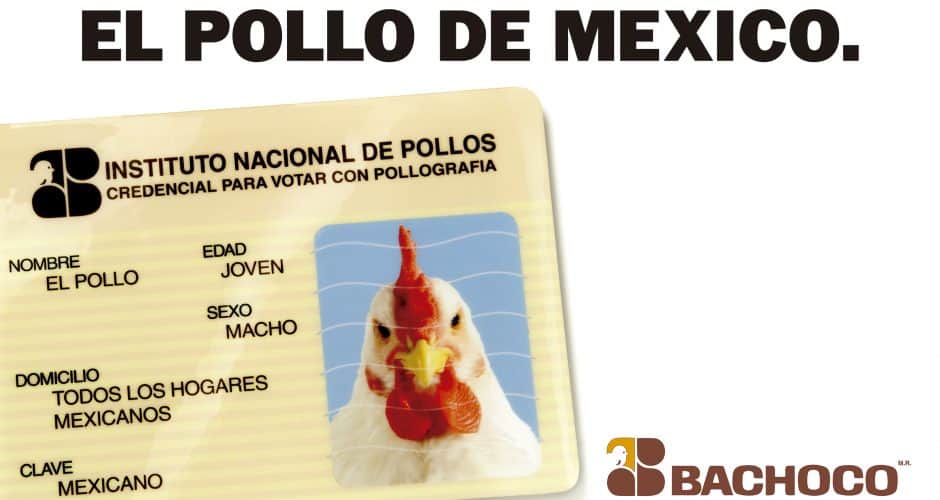 El pollo de México