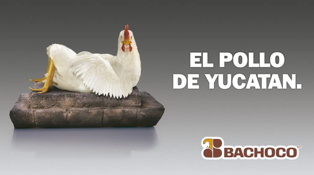 El pollo de Yucatán