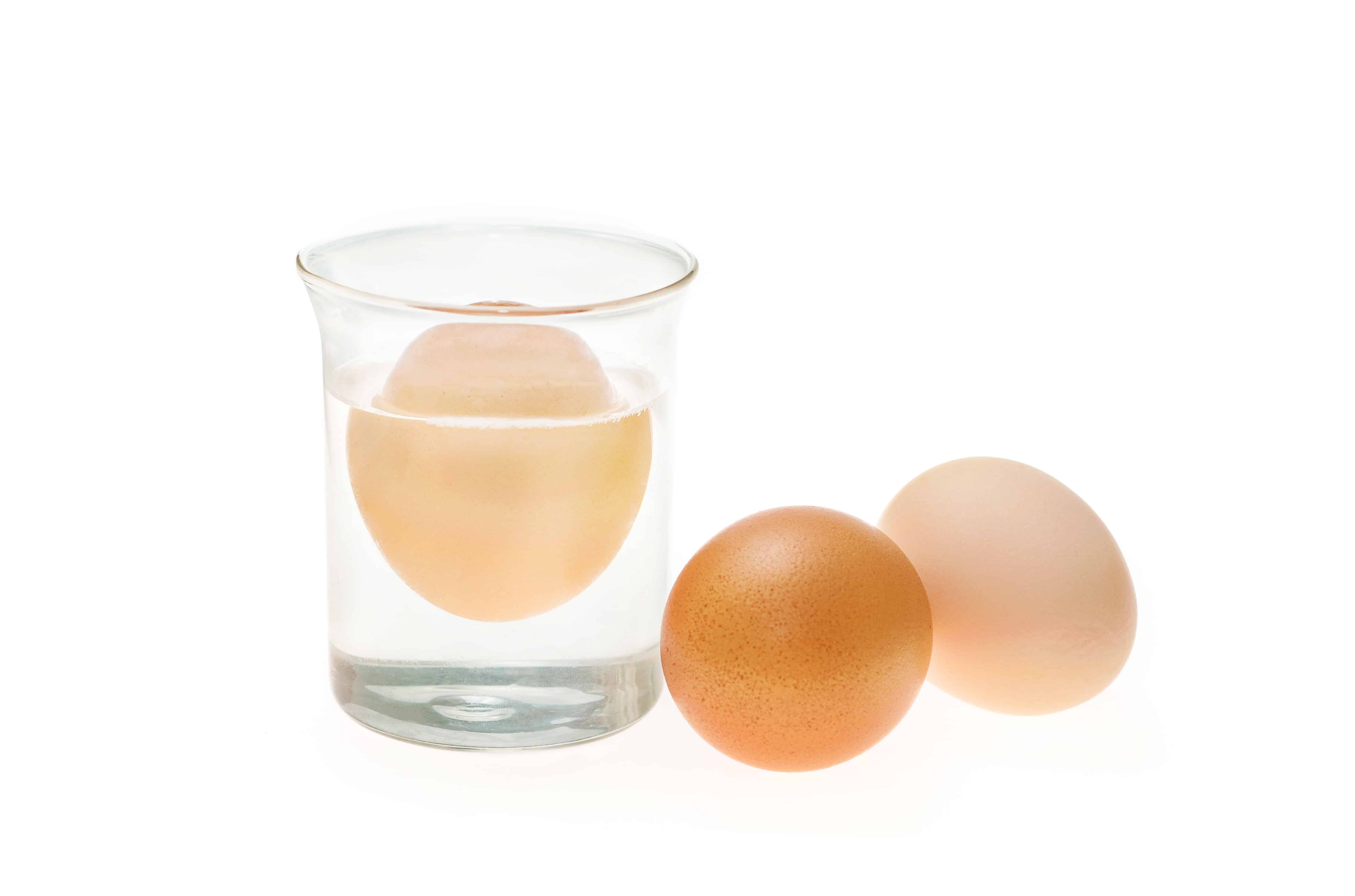 Cómo saber rápidamente si un huevo está — Bachoco® Contigo todos los días