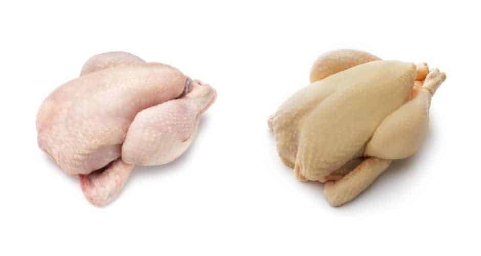 Los pollos con piel blanca o amarilla son igual de saludables y nutritivos.