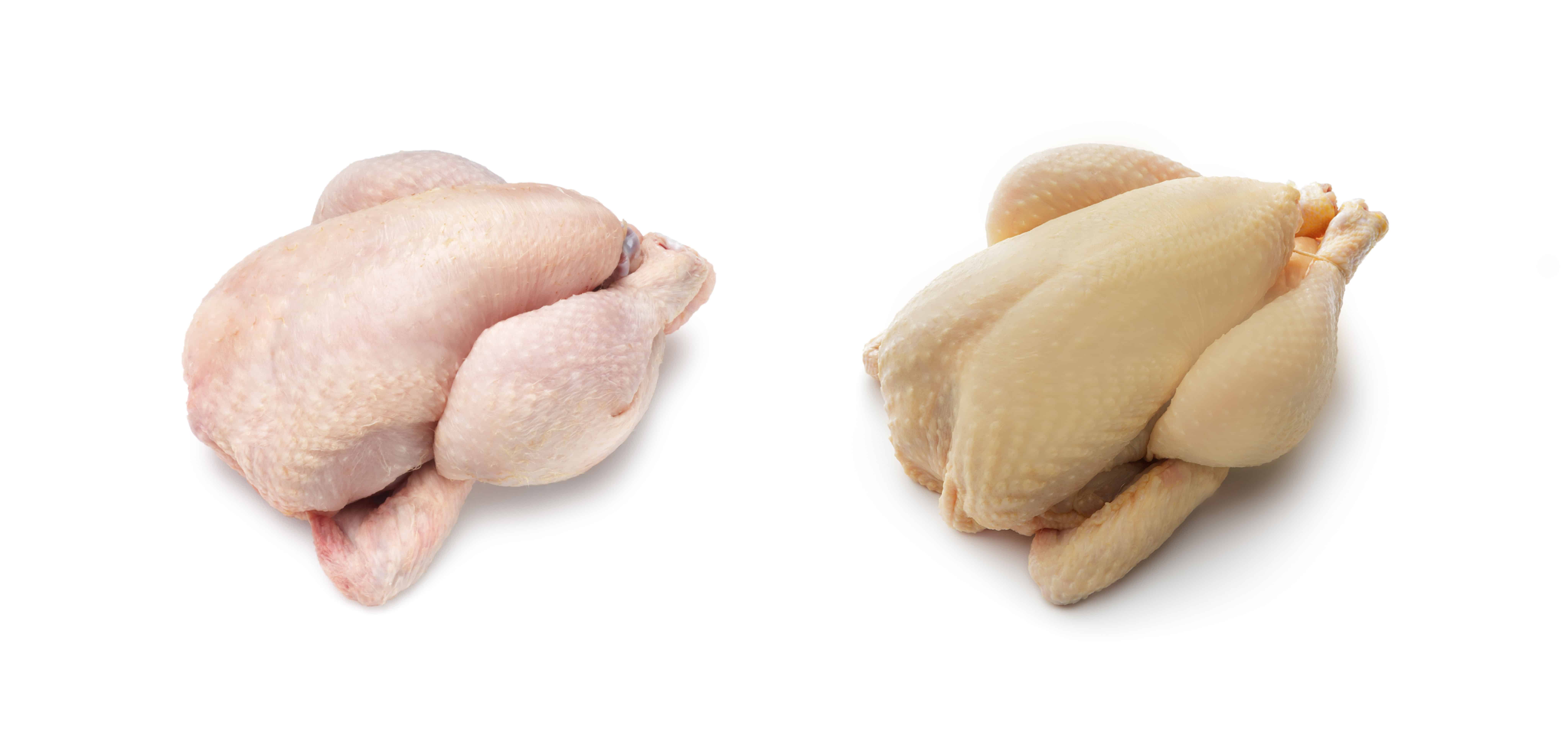 El pollo es saludable, blanco o amarillo — Bachoco® Contigo todos los días