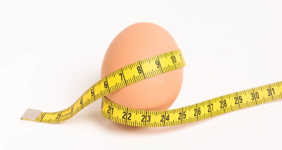El huevo contiene la aportación calórica correcta