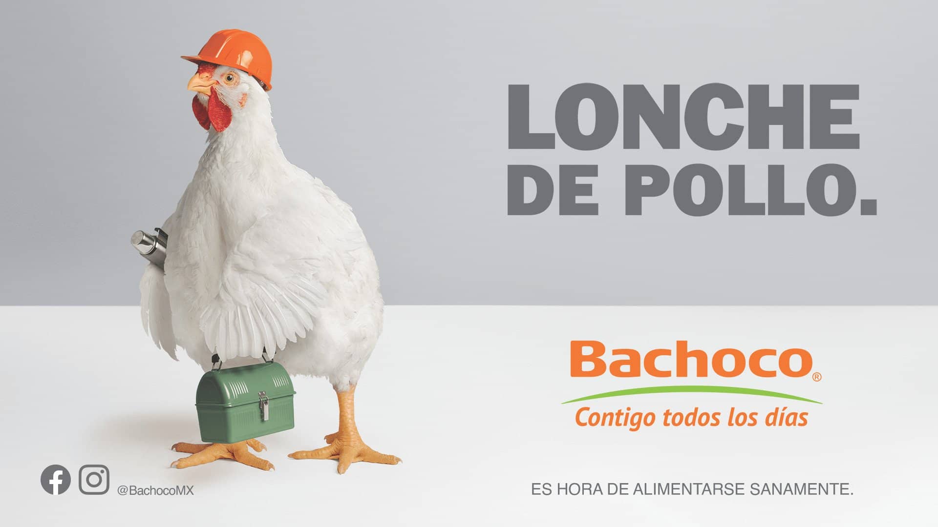 LONCHE DE POLLO — Bachoco® Contigo todos los días